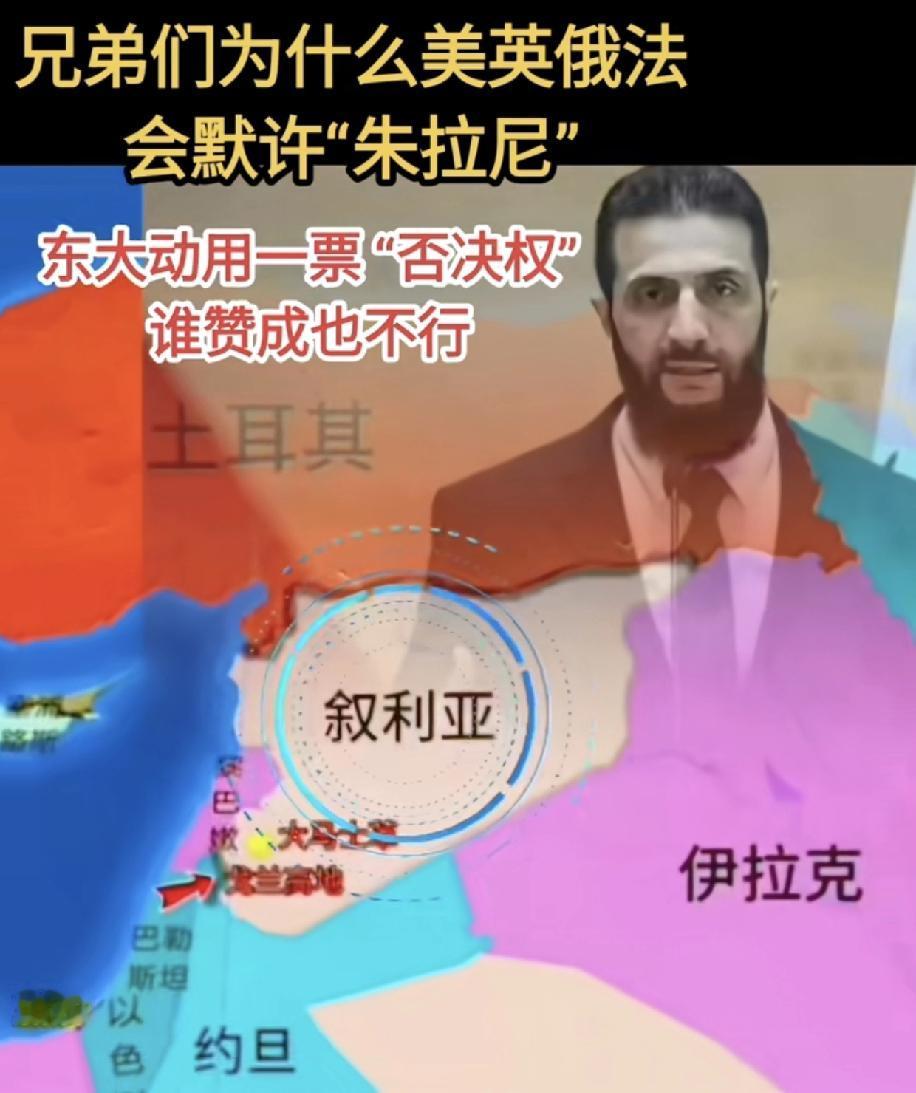 欧美国家根本就不会明白什么叫信誉和文明，以及联合国需要的核心价值观，他们说朱拉尼