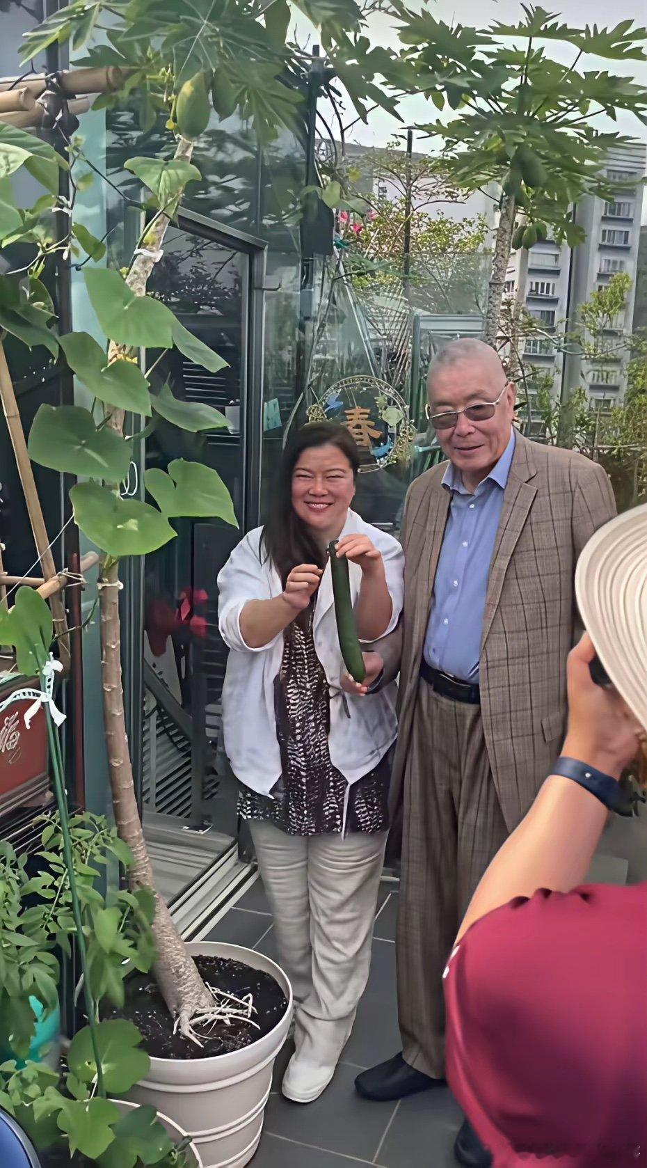 刘诗昆携小娇妻孙颖到访香港朋友家做客时，在朋友家露台摘黄瓜时的一幕。​​​