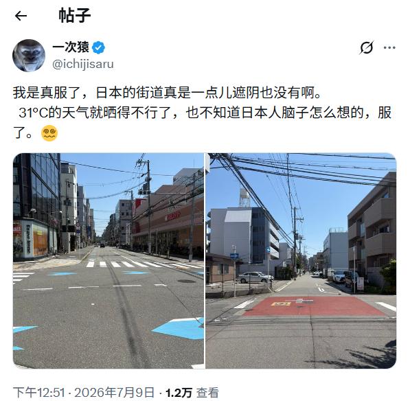 刷到在日华人吐槽日本街道几乎没有树荫，深以为然！回想去过的东京、大阪、名古