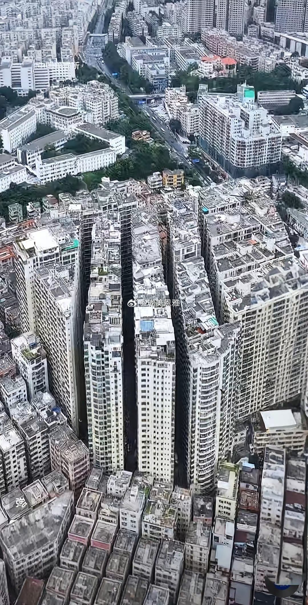 这就是全国最密集的小区，它不在北上广，而是在深圳