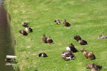 所谓人情世故，说白了就是待人接物懂分寸、会说话，让别人舒服，自己也不费劲。咱一条