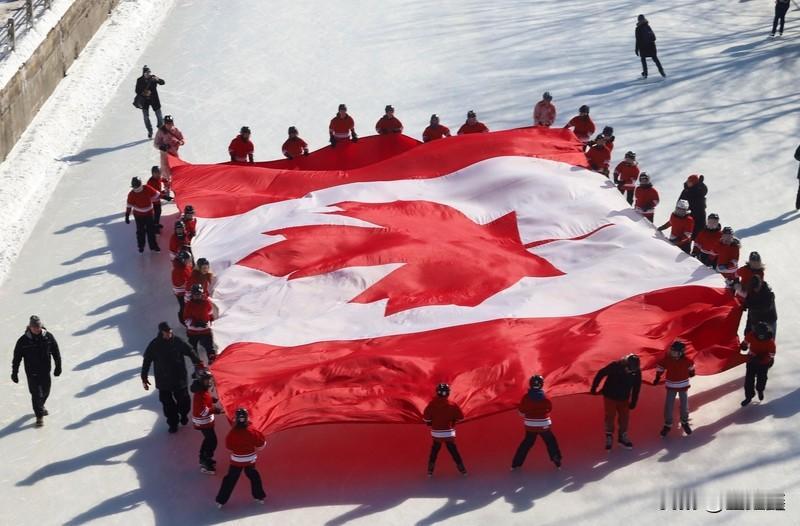 加拿大遍地是资源，军队才6万，为啥美俄都不敢动它？别以为它人畜无害是因为“和