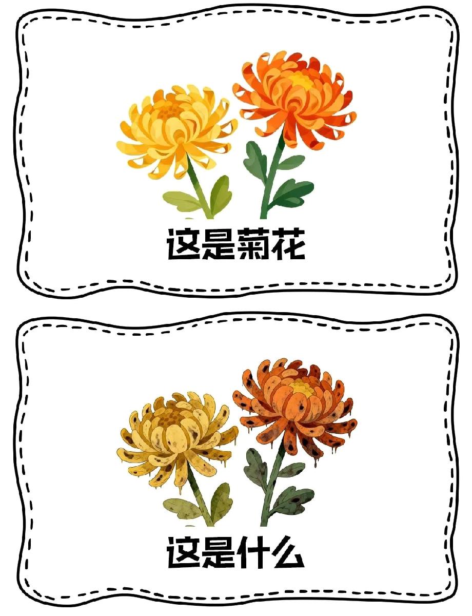 菊花变枯萎版秒藏谜底！99%的人第一眼都猜不出，你能吗？