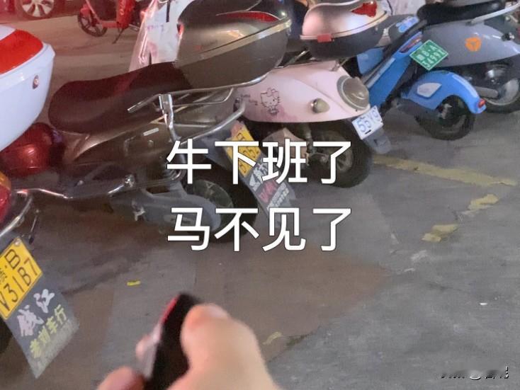 一朋友吐槽，牛下班了，马却不见了。把她急得不行，于是她就报警。然后她就去调监控看
