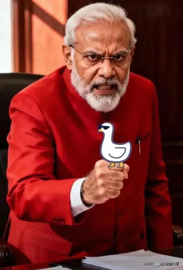 印度人急坏了，拒签率接近40%，还会核查约8700元的存款余额。印度icon《经