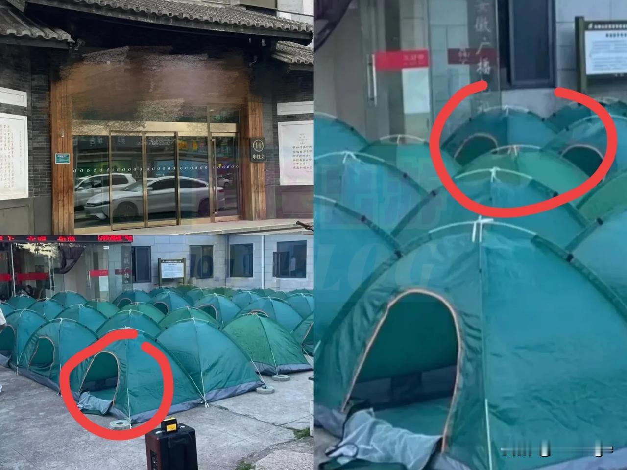 这次十一长假，最惨的不是冒雨爬泰山睡厕所的人，而是那个大理酒店老板，下午5