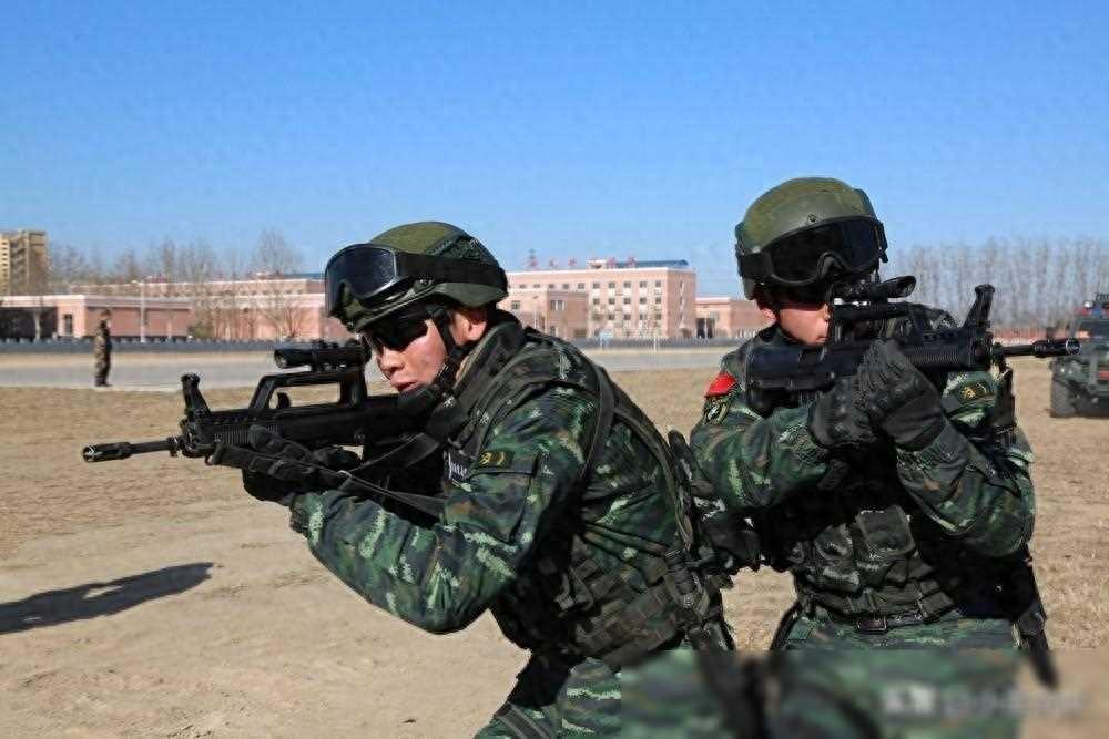 明明有了特警，为什么还要武警？这么说吧，武警的性价比可太高了。不少人以为特警
