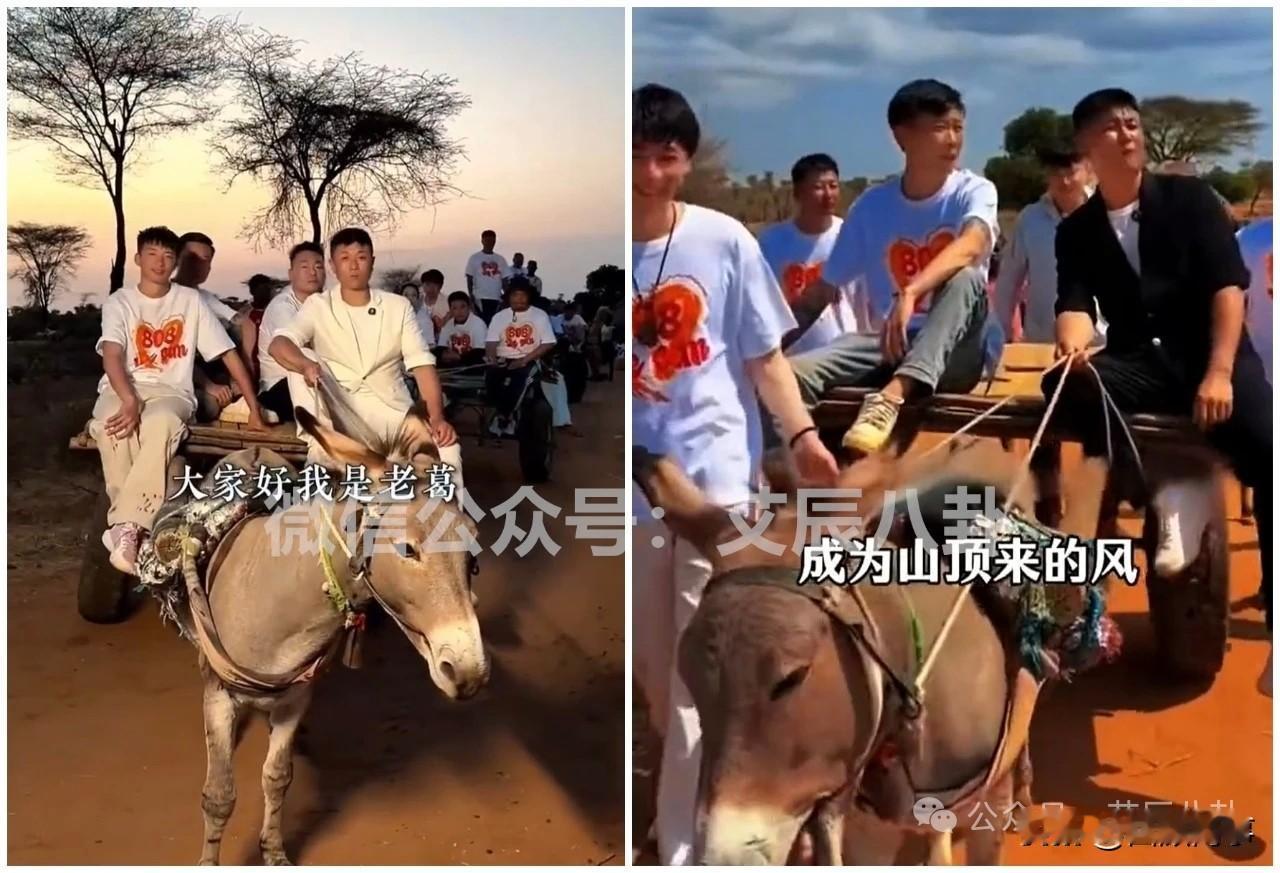 老葛晒身份证信息，率团队远赴国外赶驴车拍视频！老葛确实狠