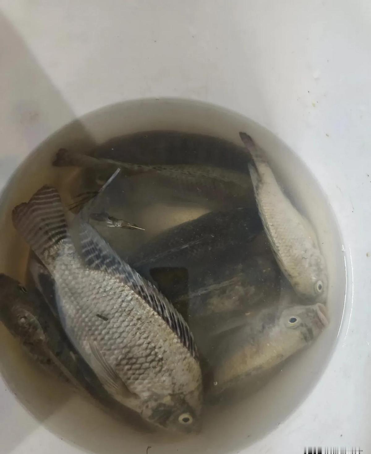 有一种尴尬叫“朋友觉得你需要补一补”。随着垂钓运动在年轻群体中迅速升温，不少钓