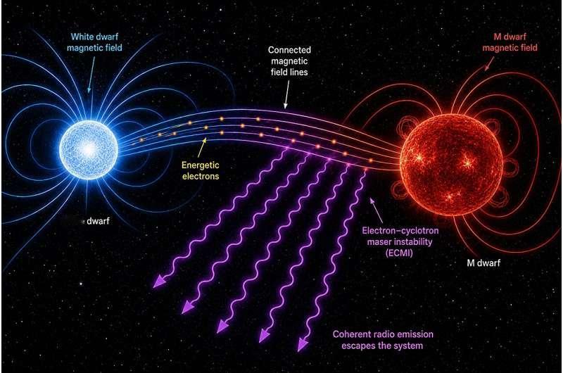 宇宙里最离谱的“情侣”，可能正在一起开炮。两颗恒星如果彼此绕着转，会发生什么