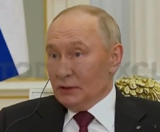 普京一句“欧洲小猪们”跟着拜登薅羊毛，直接点破了欧洲的尴尬处境！当初欧洲各国跟着