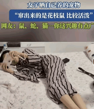 姑娘你爱好还挺多，老鼠、蛇、猫咪全都养上了。