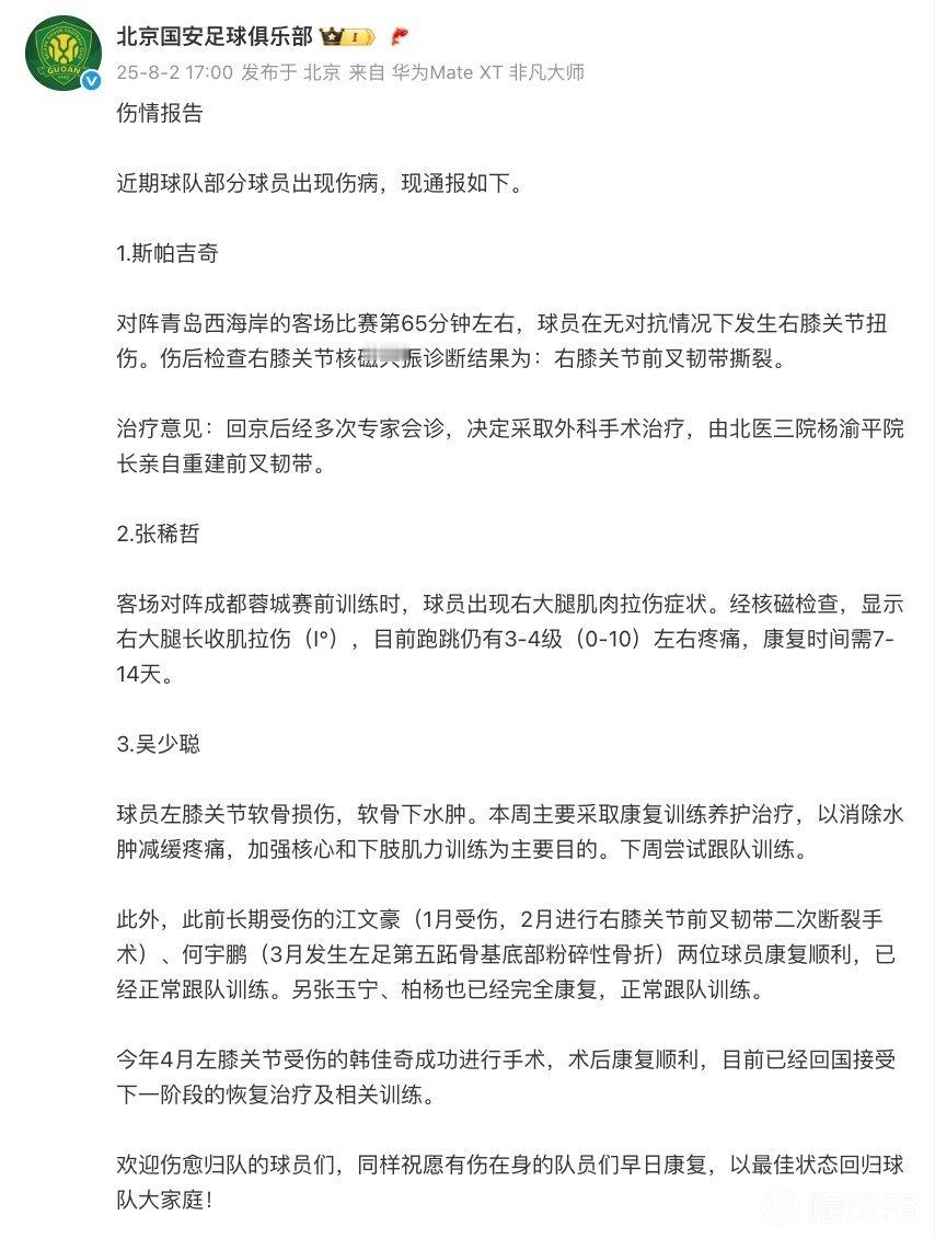 本赛季伤伤停停的斯帕吉奇报销，让原本塞鸟归化所带来的外援5+1，回归到4+1（关