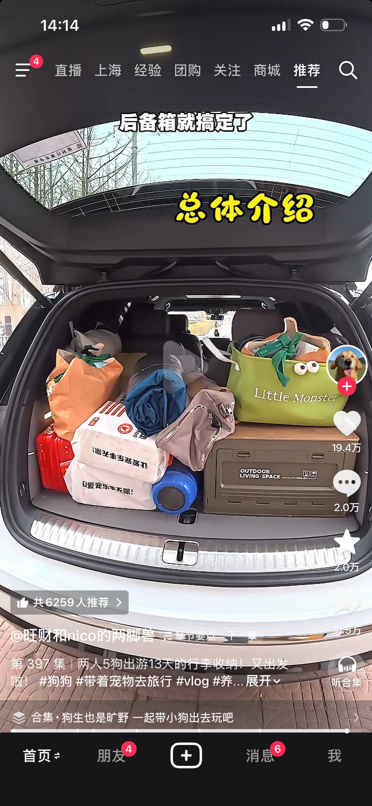 两人五狗出游13天，到底要带多少东西？这博主太牛了，狗的主食、零食、泳衣、保暖衣