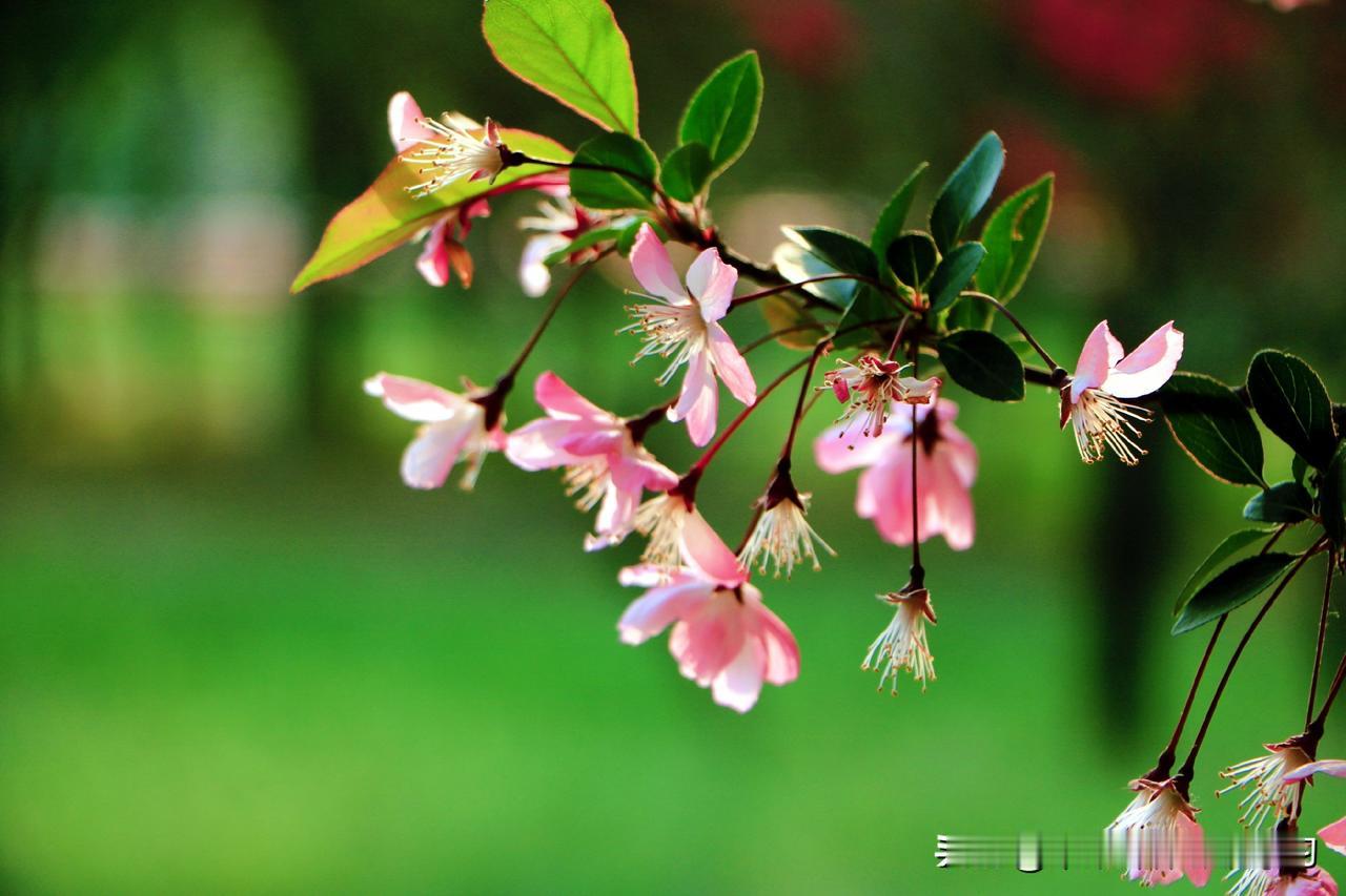 情感专家：见过最野的相亲局，是朋友组了个户外飞盘局。来的姑娘清一色瑜伽裤配运动