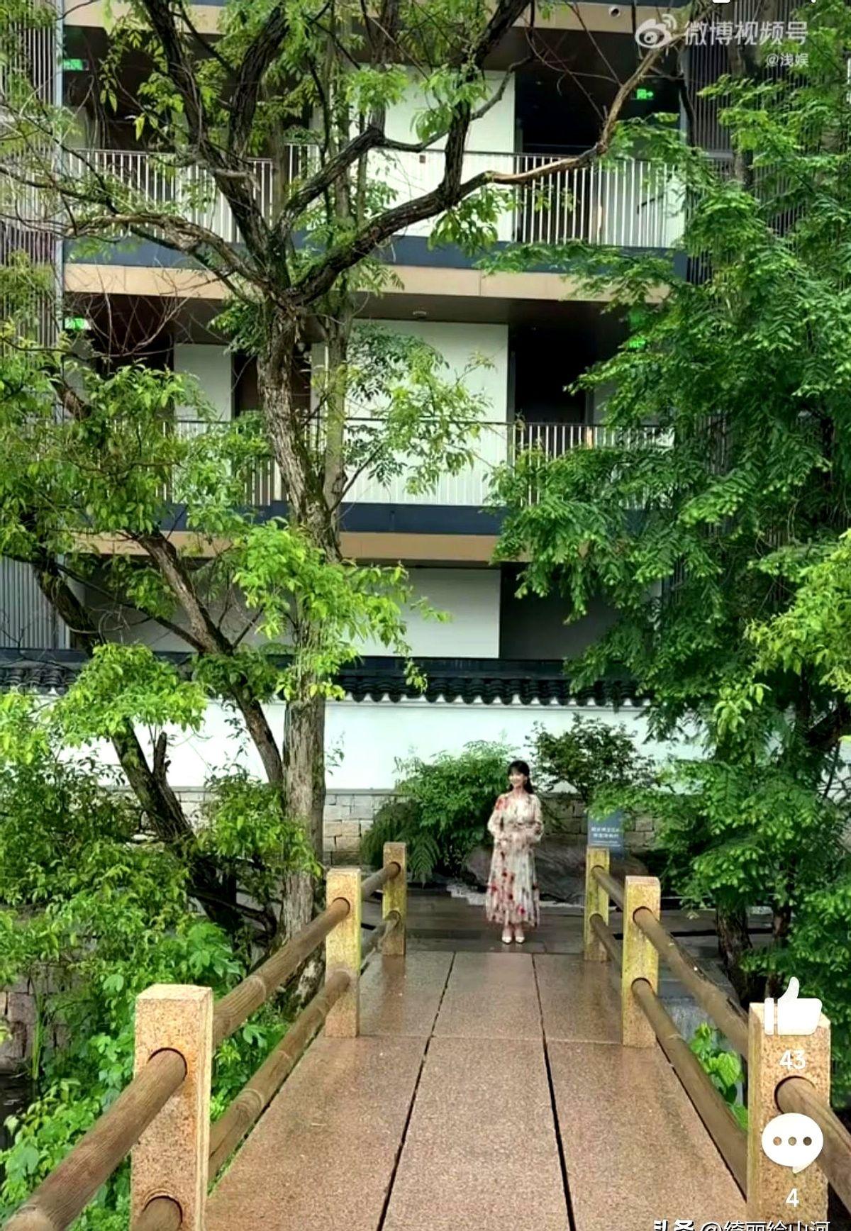 赵雅芝就发了8个字，全网炸了。一条晒书架的动态，配文“阅书知雅拈花识柔”，瞬