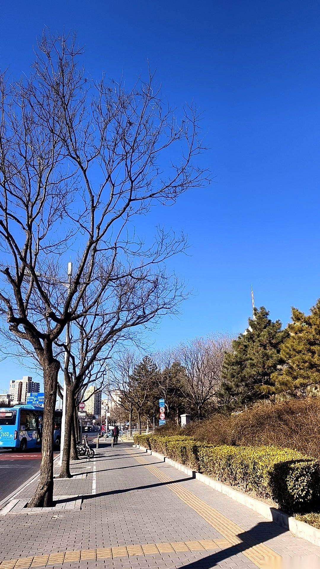 有位阿姨，给自己换了辆50万的车，车膜还没撕干净。儿媳妇的脸先拉下来了，当晚就