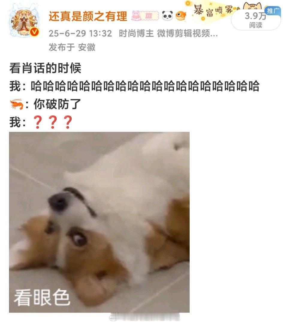 蒸煮和粉丝都分不清东南西北缺乏羞耻心
