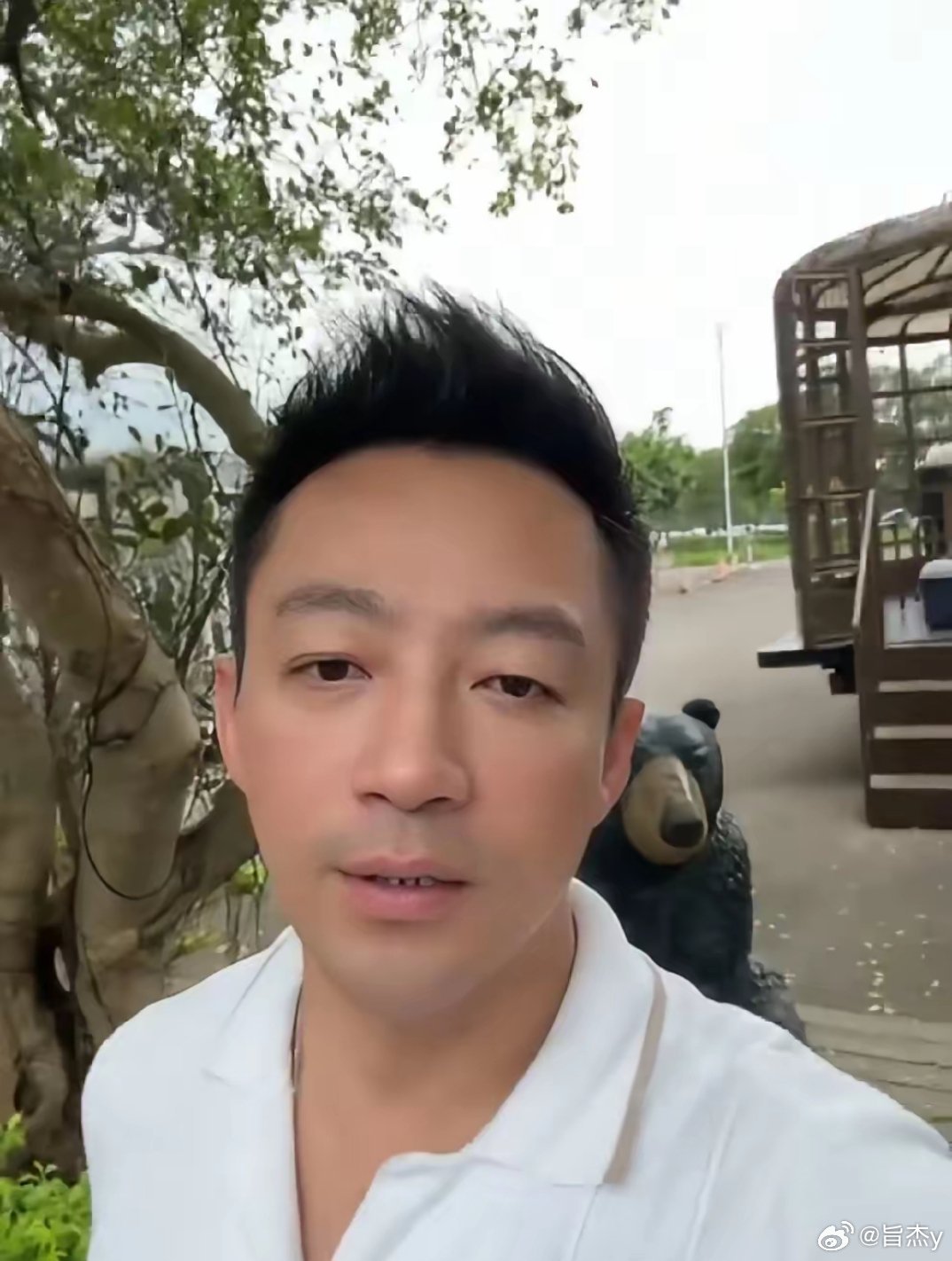 汪小菲又带孩子们去户外了。这次他们来到了野生动物园，看老虎狮子和犀牛。孩子的声音
