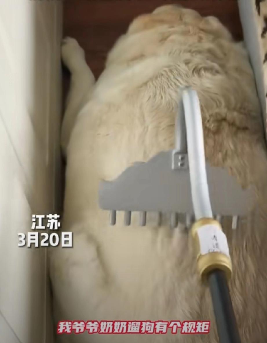 3月20日，江苏。孙子来看望爷爷奶奶。奶奶和孙子坐在沙发上聊上了。奶奶说，我什么