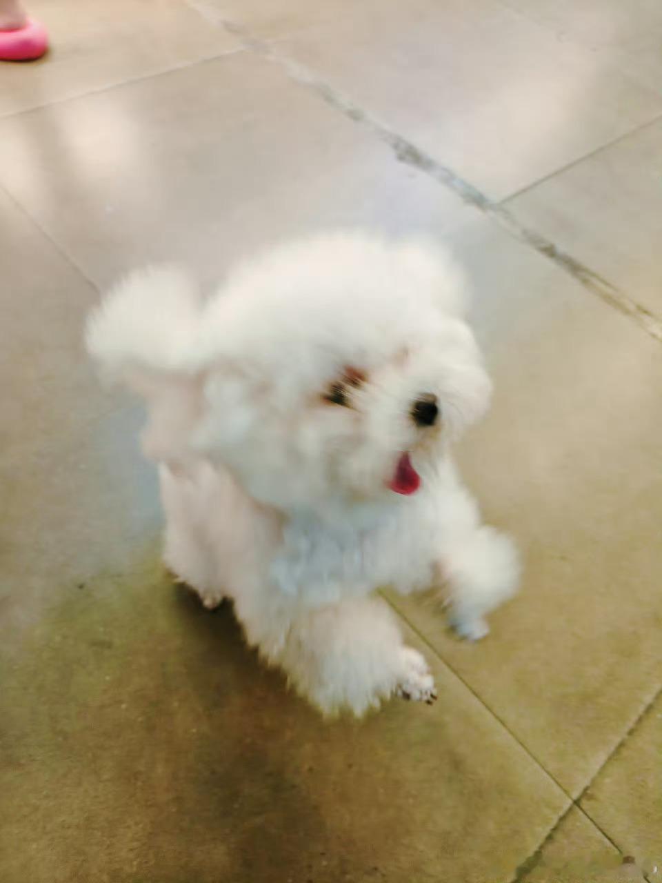 咱们来找吃的啦*ฅ́ˇฅ̀*～