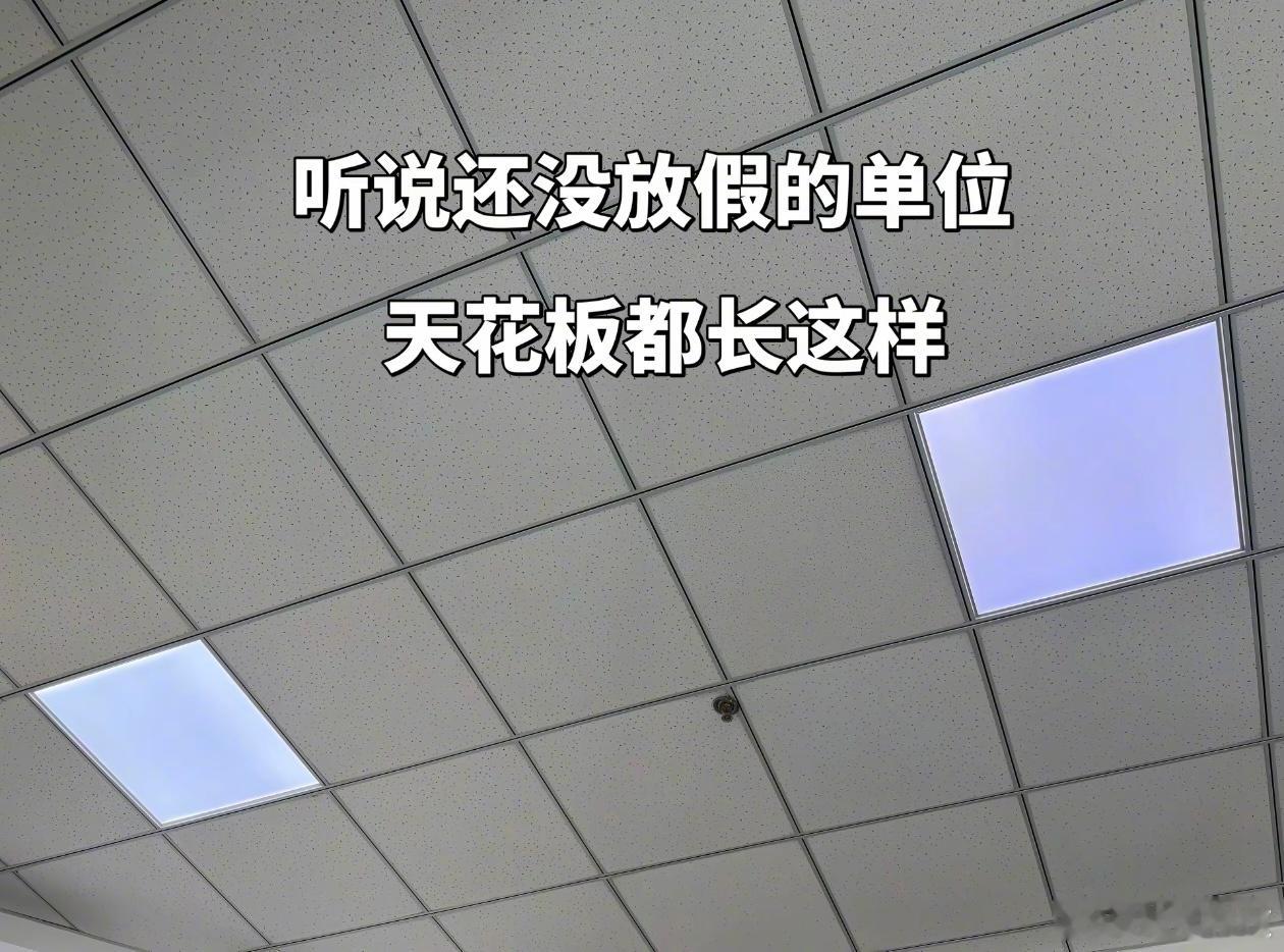 听说还没放假的单位天花板都长这样