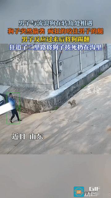 太解气了！男子走在路上，突遇流浪狗疯狂撕咬，一气之下将狗打死，网友直呼：太解气了