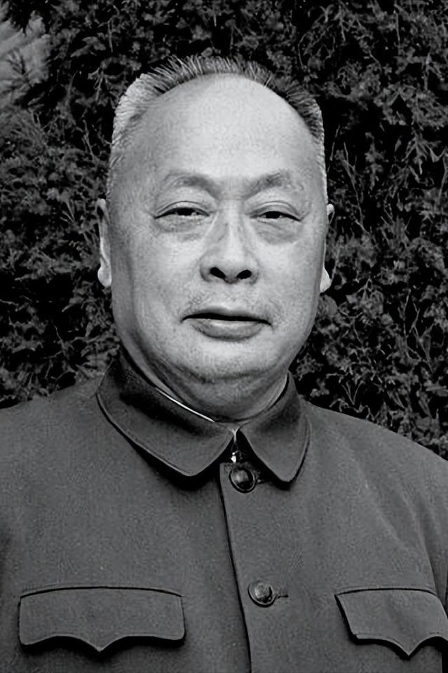 1961年，陈毅元帅到大冶冶炼厂视察，忽然把随行的党委书记叫到身边，低声问道：