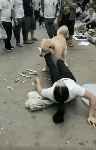 被恶犬死死咬住脚，越打狗反而咬得越紧，你难道还在傻傻用蛮力硬拽？难道就没有不用