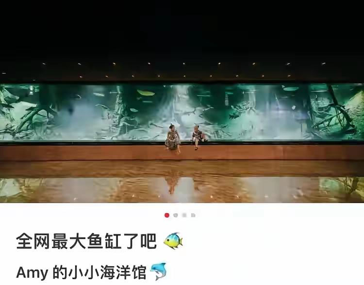 还记得那个家里养鲨鱼、戴千万名表的“静仙女”吗?当初她在网上疯狂炫富,晒70