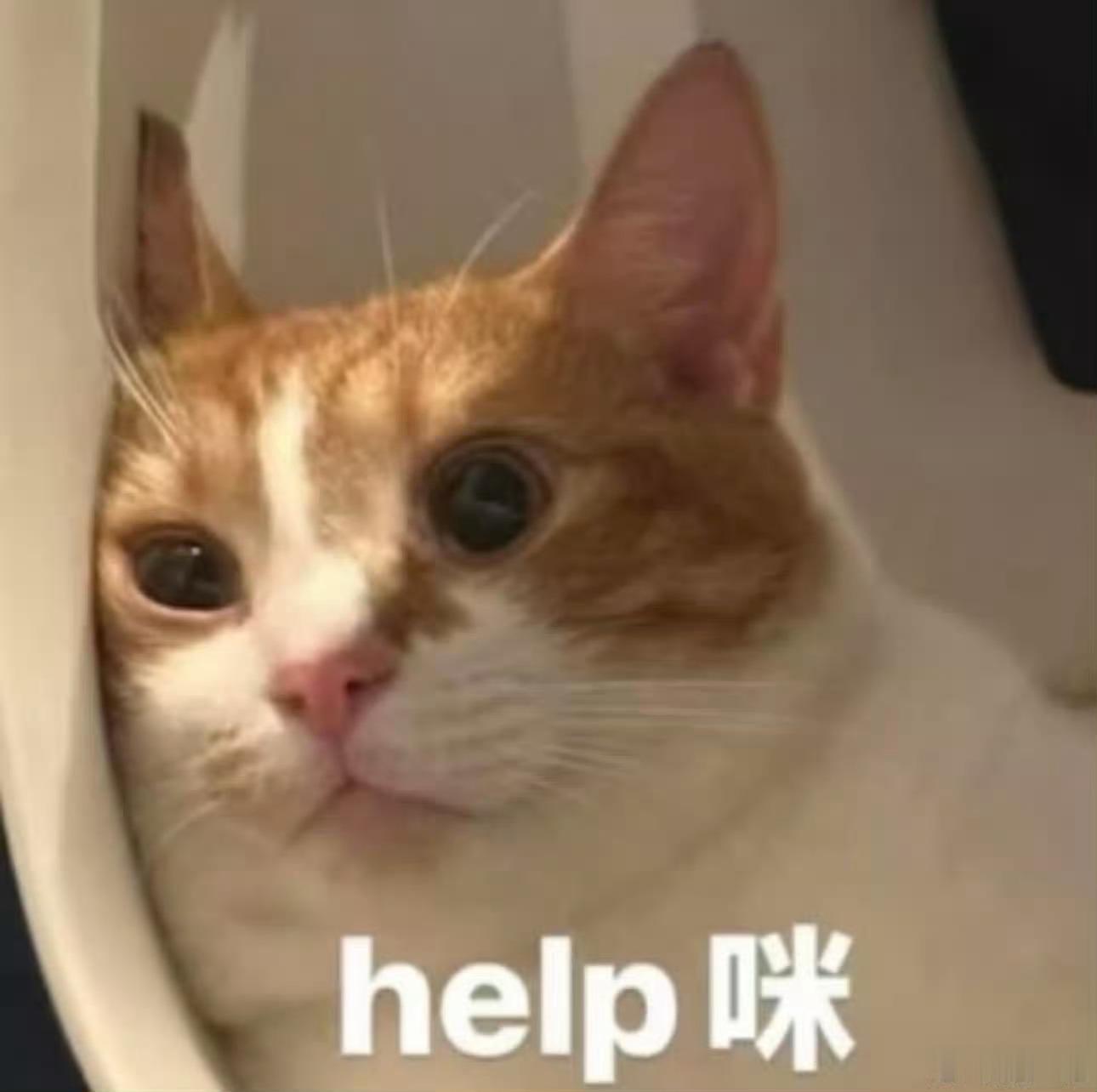 夜晚剧宣的表情包哈哈哈哈哈哈存存