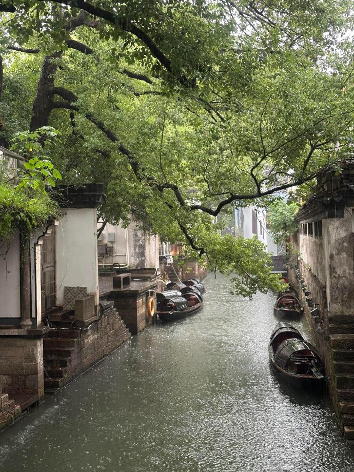 烟雨如江南🌧️山水如墨染​​​​