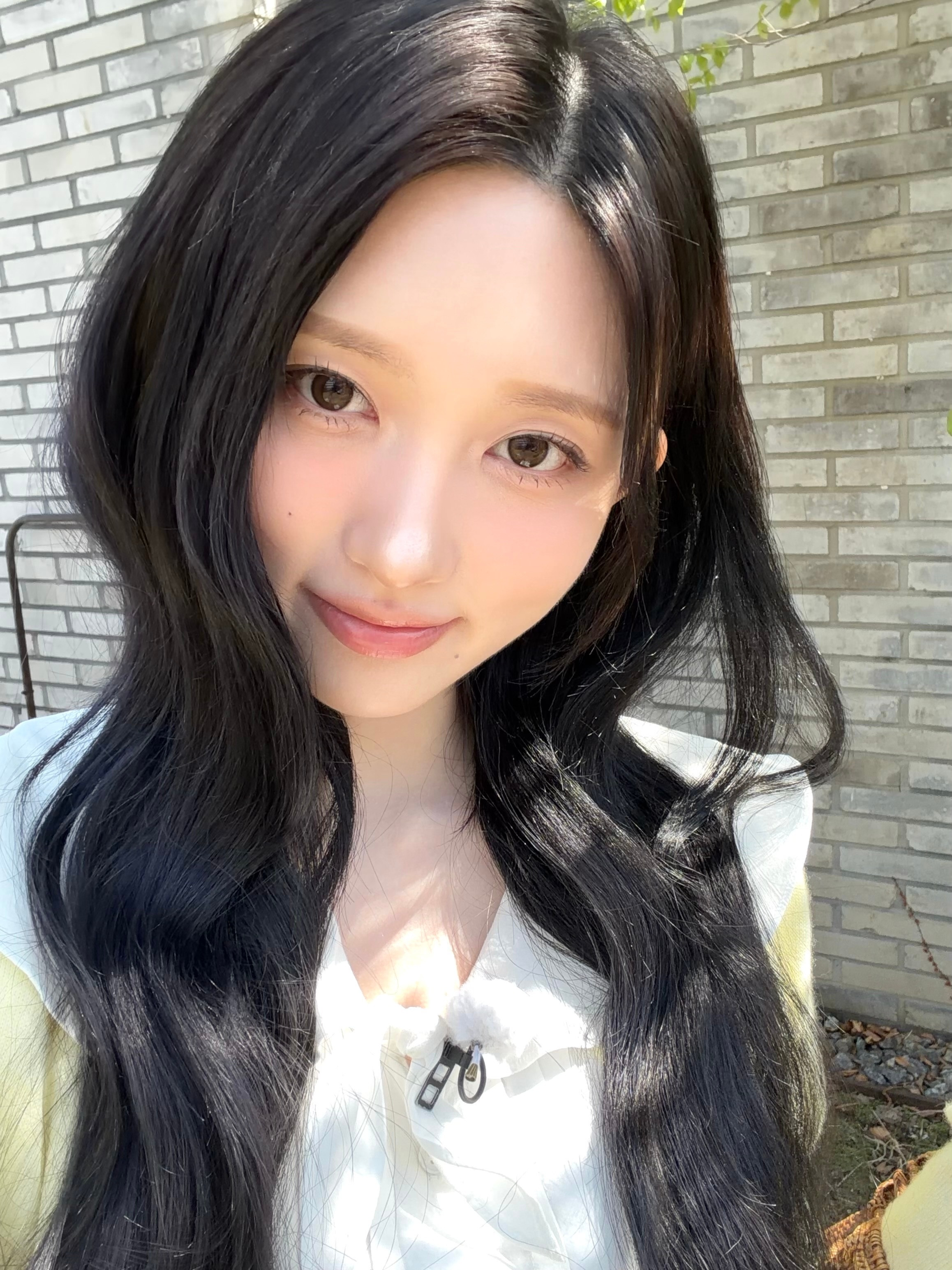 社团会长秋天🤏