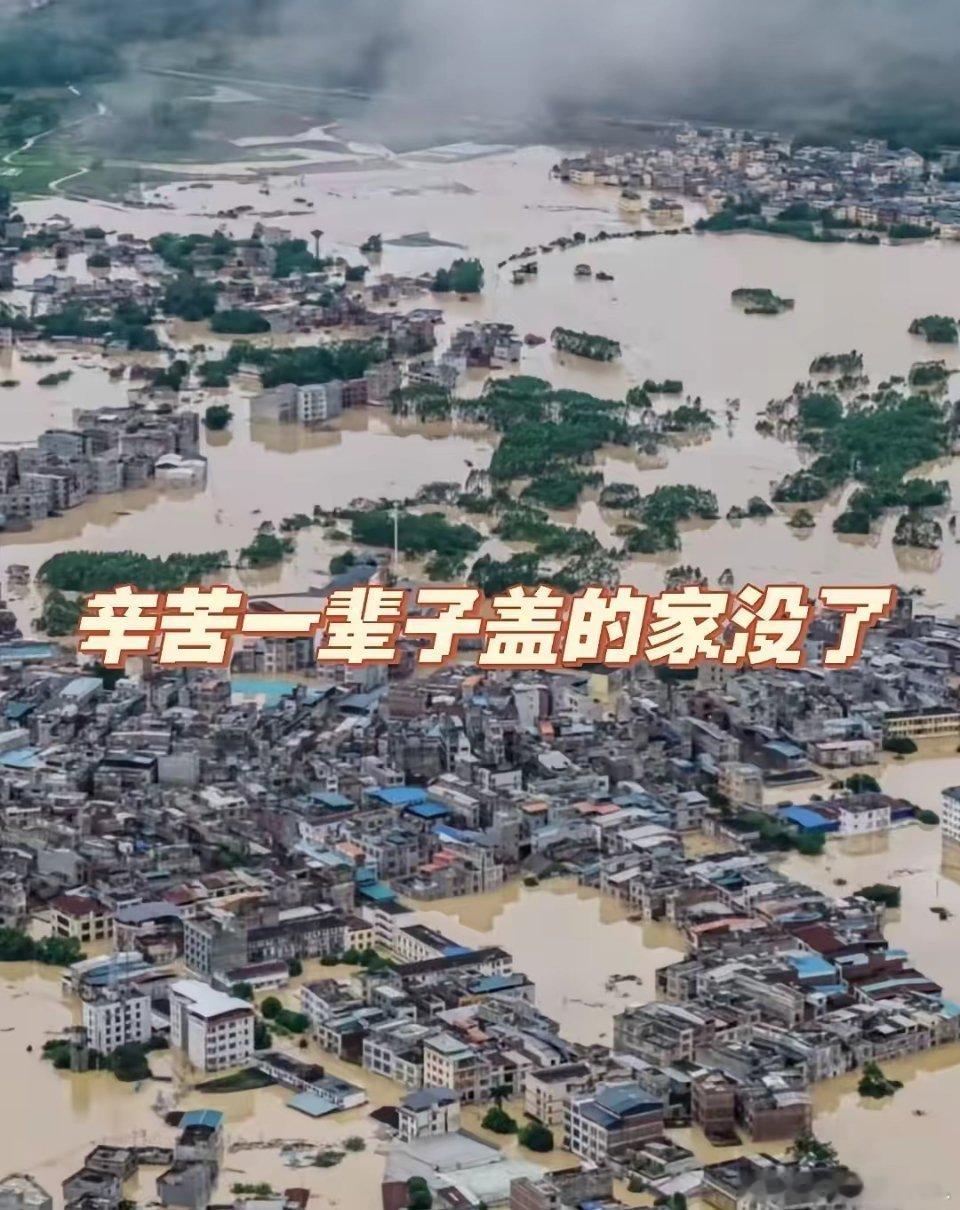 心痛啊，一辈子攒下的劲儿，全花在盖这个家上了，就这么没了。平日里拼命干活，就盼着