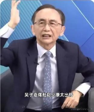 执意勾结台独分子引众怒，赵少康沦为国民党败类，绿营递刀人。近期，国民党资深