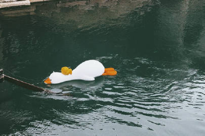 沈月撞档沈月内娱活久见！两位沈月同一天霸屏，一个在剧里甜到犯规，一个在活动上