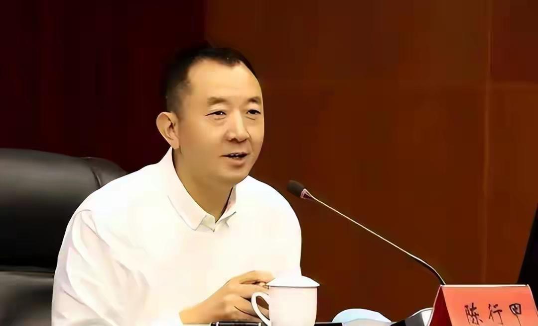 陈行甲到底是成功了还是失败了？仁者见仁智者见智本可能是正厅级干部的他，
