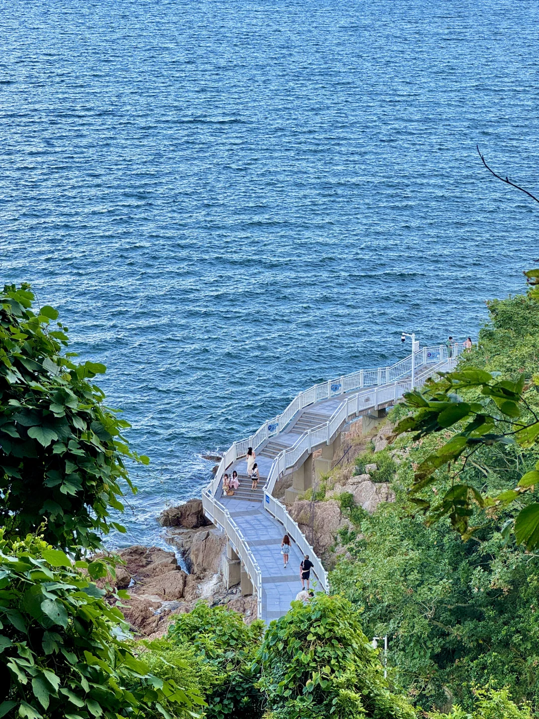 不在济州岛！在深圳！live直出太美了🌊