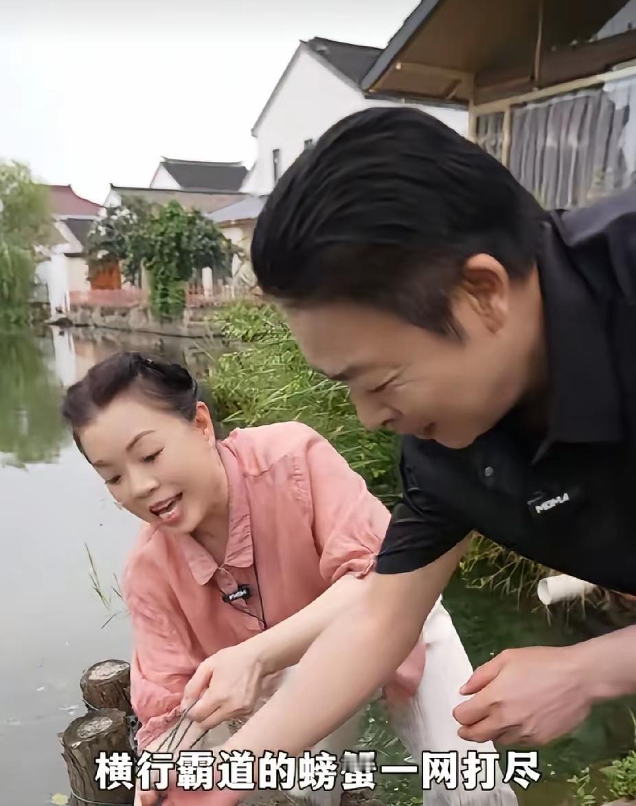有些期盼，现实很难如愿！不少网友心里都有一份期盼，希望我大娘会在缝纫机旁昏
