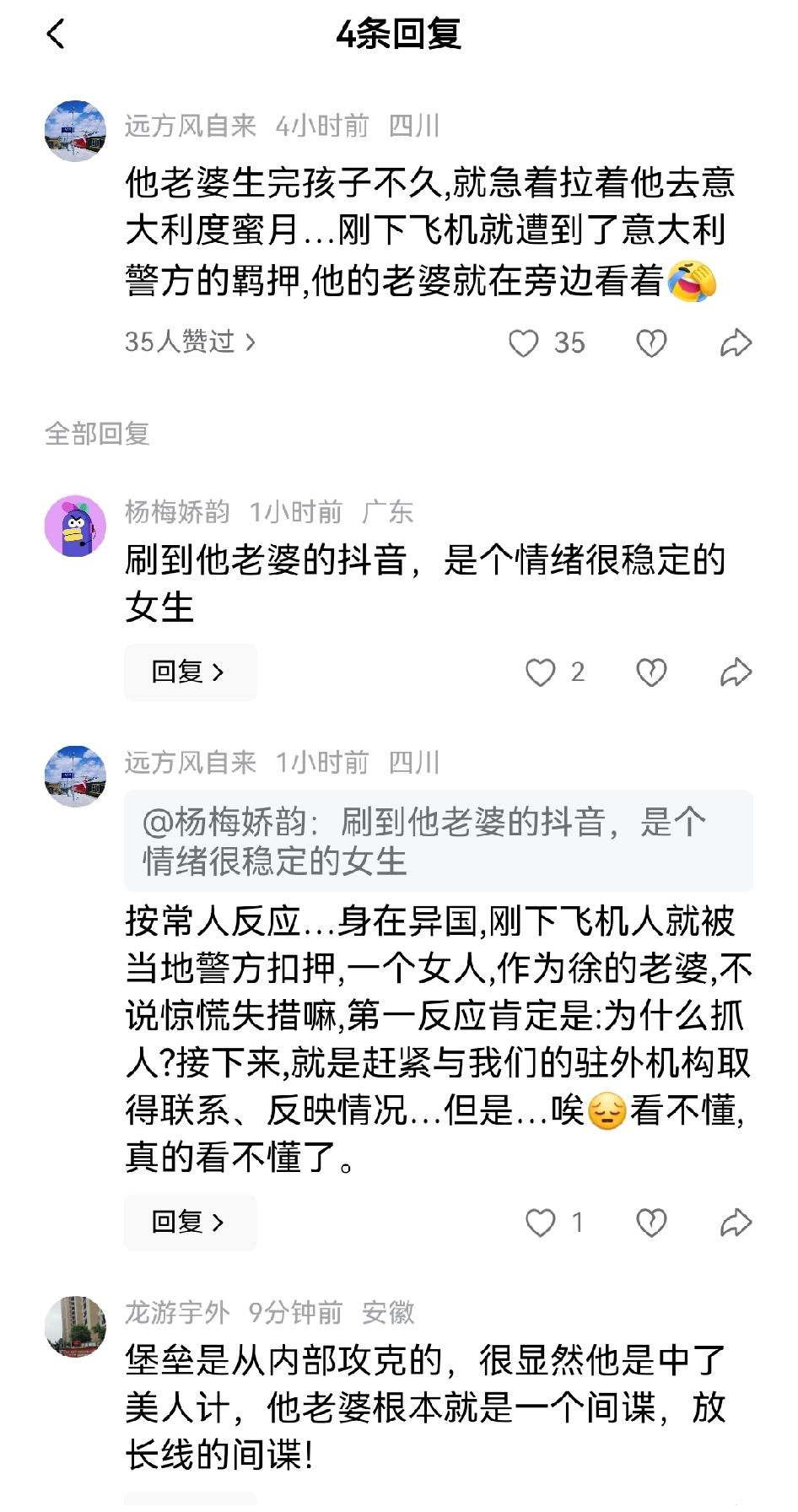 徐泽伟在意大利被抓后，有网友认为他老婆也有嫌疑，这种看似荒诞的猜测又有一些道理，