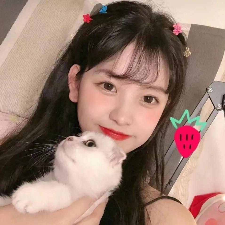 萌宠相伴，甜美瞬间！😊🐱💕萌宠萌宠随手拍甜系萌宠照萌宠治愈氛围萌宠