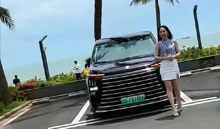 2025年6月MPV销量排行榜：一，丰田赛那，销售8668台。二，岚图梦