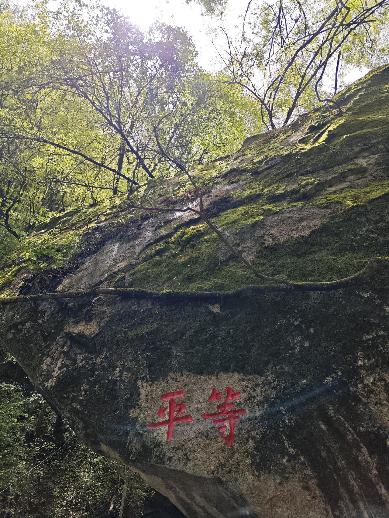 盒饭也走私起初是新闻播报，也没有当回事，谁知后来我越想越不对劲，这是怎么回事