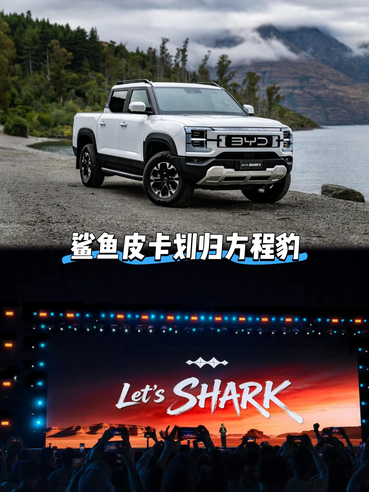 迪子这一招背后必有高人指点众所周知鲨鱼皮卡在海外市场卖爆了而国内皮卡卡友一直