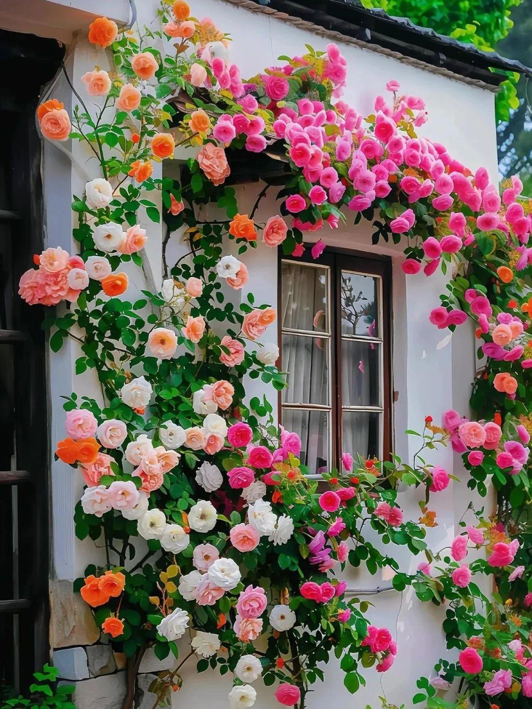 我曾经带过金陵河西分校的一个小朋友，他在最好的班级。这孩子很争气，后来考取了东南