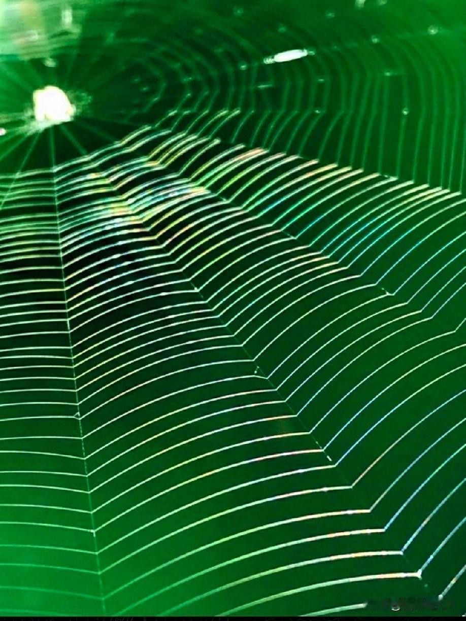 有多少人疯了？昨天无事，去二嫂家闲聊。结果一进门就见二哥蹲在大门口，抽出了