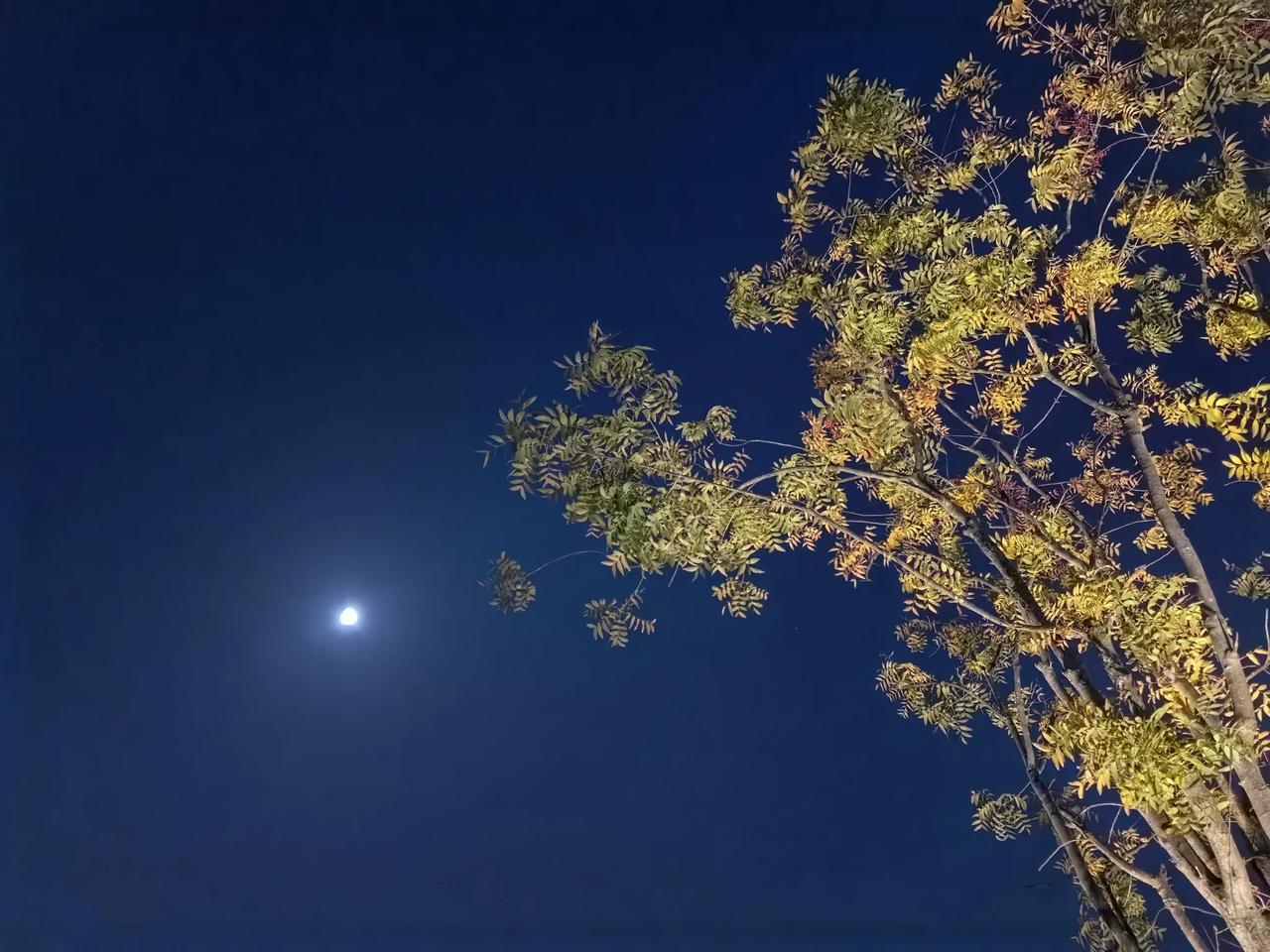 当初办理ETC有多容易现在就有多难发现ETC没用之后，打算去邮政银行重新办理