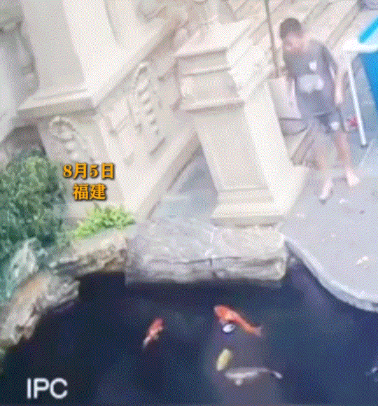“心都碎了”。福建，一小男孩出门找狗，结果发现狗子已经淹死在了鱼塘，看着狗子飘在