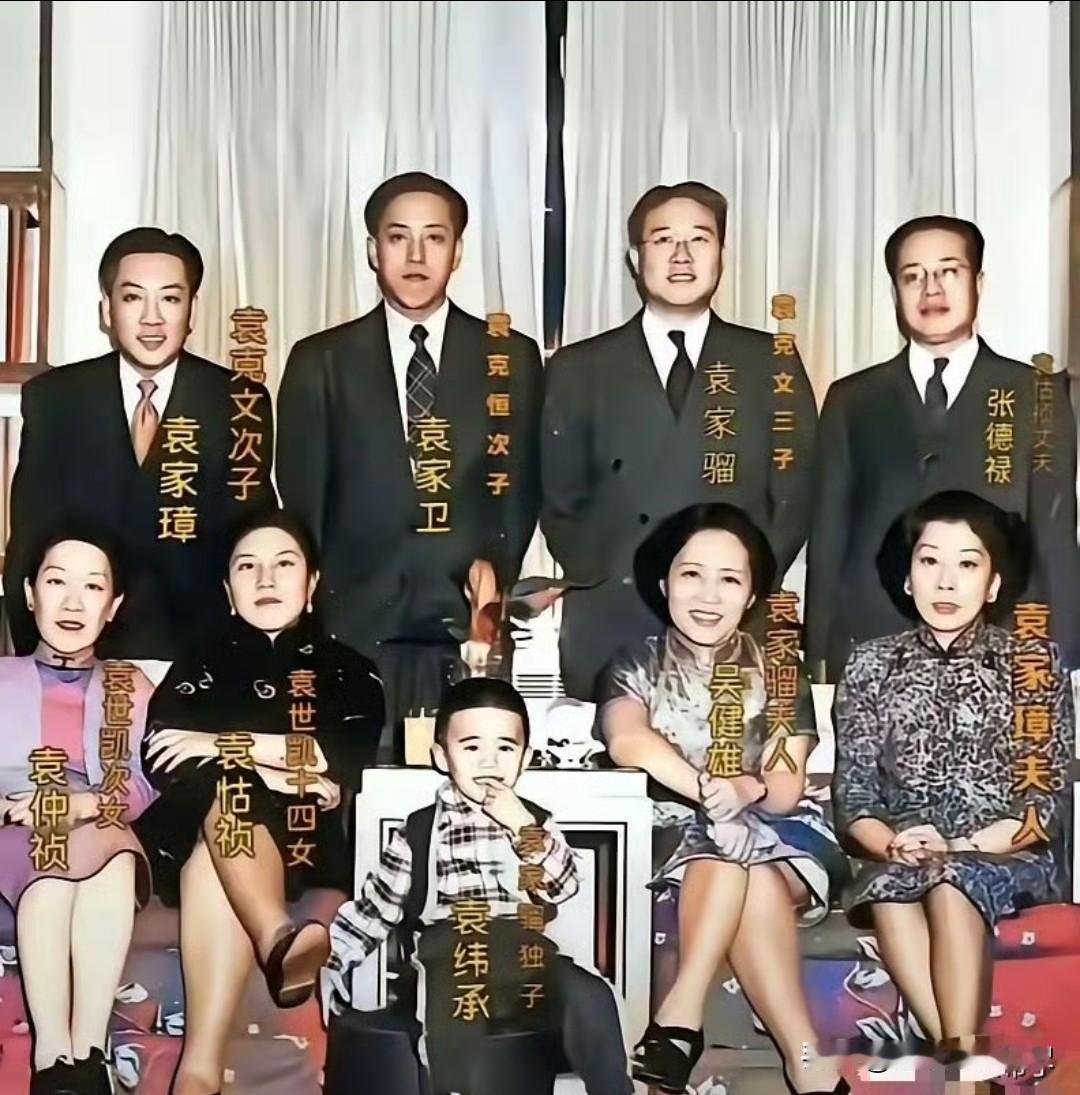 这是袁家骝和妻子吴健雄与家人的一张珍贵合影。袁家骝是袁世凯之孙，吴健雄是闻名世