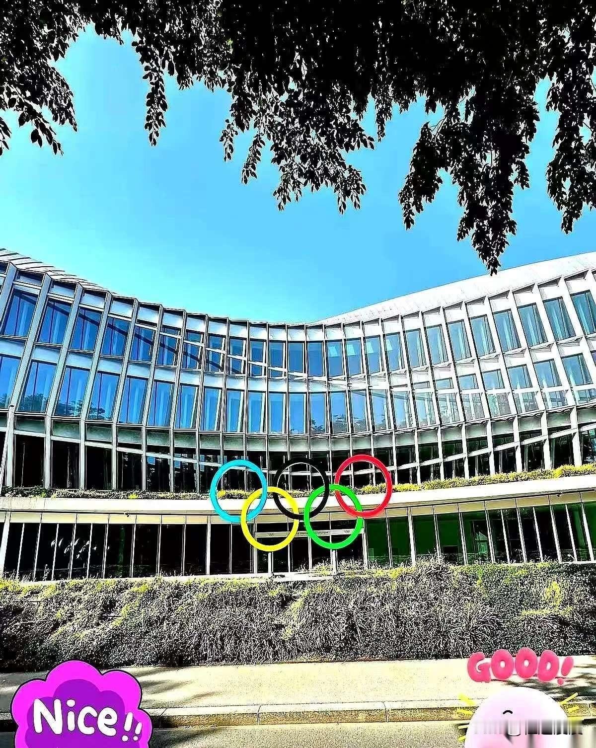 国际奥委会副主席突然公开说，15年前的北京奥运会，“标准设得太高了”，直接影响了